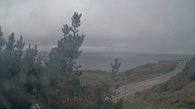 Latest frame from Cheetah