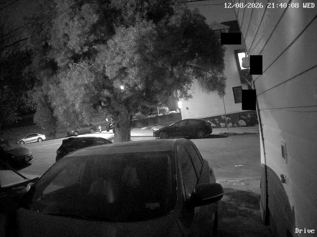 Latest frame from My Driveway